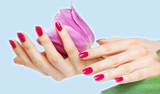 3 маникюра с покрытием Shellac <font color="#99cc00"><b>за 1170 руб. вместо <s> 3000</s>! </b></font> Сэкономь <font color="#99cc00"><b>1830 руб. + Скидка 30%</b></font> на педикюр покрытием Shellac.. Саратов - kupikupon.ru 3 маникюра с покрытием Shellac <font color="#99cc00"><b>за 1170 руб. вместо <s> 3000</s>! </b></font> Сэкономь <font color="#99cc00"><b>1830 руб. + Скидка 30%</b></font> на педикюр покрытием Shellac.