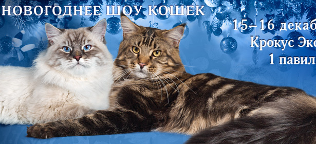 Билет на «Новогоднее Шоу Кошек» от клуба CRYSTAL. Конкурсы, награждения, большое шоу сибирских кошек, детская площадка, оригинальные зоотовары и отличное Новогоднее настроение! **Скидка до 55%** . Москва - kupikupon.ru Билет на «Новогоднее Шоу Кошек» от клуба CRYSTAL. Конкурсы, награждения, большое шоу сибирских кошек, детская площадка, оригинальные зоотовары и отличное Новогоднее настроение! **Скидка до 55%**
