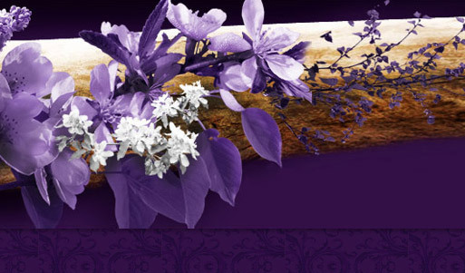 <font color="#99cc00">Весь ассортимент</font> шоколадной косметики ChocoLatte от магазина AroMagic <font color="#99cc00"><b>со скидкой 50%!</b></font> Красота – это сладко!. Новосибирск - kupikupon.ru <font color="#99cc00">Весь ассортимент</font> шоколадной косметики ChocoLatte от магазина AroMagic <font color="#99cc00"><b>со скидкой 50%!</b></font> Красота – это сладко!