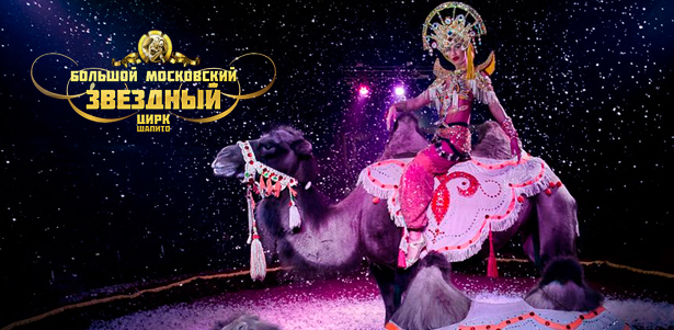 Два билета по цене одного в большой московский цирк-шапито «Звездный»
