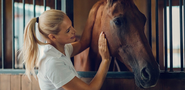 Конная прогулка в лесу или поле с инструктажем для детей от 14 лет и взрослых в конном клубе «Авиньон». **Скидка до 46%**