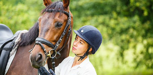Экскурсия по конюшне с рассказом о породах и стаях лошадей, конная прогулка или тренировка с сопровождением инструктора или тренера от конного клуба «Дадмал». **Скидка до 65%**
