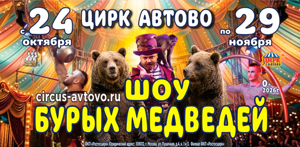 **Скидка до 50%** на билеты на новую программу «Шоу бурых медведей» с 24 октября в «Цирке в Автово»