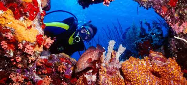 Программа Discover Scuba Diving + скидка 10% на прохождение всех курсов обучения дайвингу в дайв-центре «Тритон». Скидка 75%