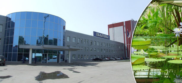 Экскурсия на пивной завод «Балтика», в Ботанический сад и на дамбу от компании «Солнечный фонтан» для одного или двоих **со скидкой 50%**