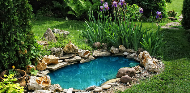 Курс «Ландшафтный дизайн для начинающих» для одного или двоих в студии ландшафтного дизайна и обучения «ДриадаС». **Скидка до 71%**
