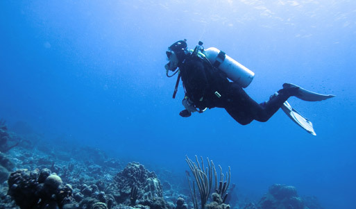 Вас ждут тайны океанов! Подготовьтесь их разгадать. Погружение с аквалангом в дайвинг-центре «Адмирал» <font color=“#FF6406”><b>со скидкой 60%</b></font>