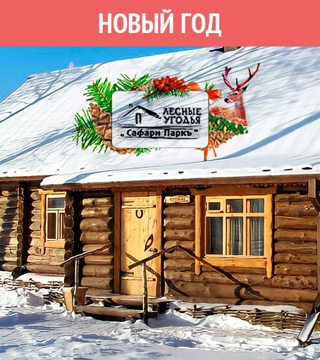 Акция на проведение детского дня рождения. Смотреть фото Акция на проведение детского дня рождения. Смотреть картинку Акция на проведение детского дня рождения. Картинка про Акция на проведение детского дня рождения. Фото Акция на проведение детского дня рождения